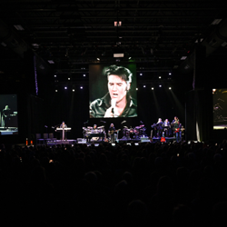 A full house for the king!