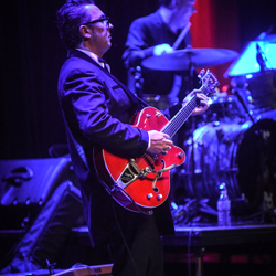 The Tribute to Sun Studio Show had fans on their feet.