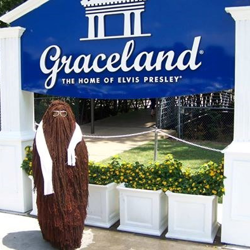 Cousin Itt stopped by Graceland before The Adams Family performance at Lohrey Stage in Memphis.